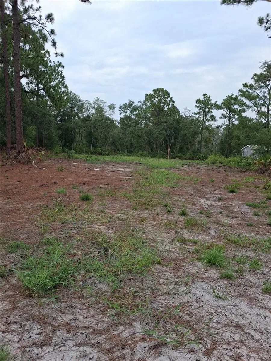 Park Forest Boulevard, Mount Dora, FL 32757 - #2