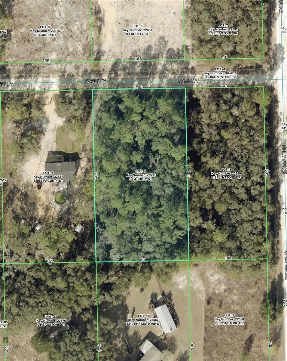 33104 Faculty Street, Webster, FL 33597 - #1