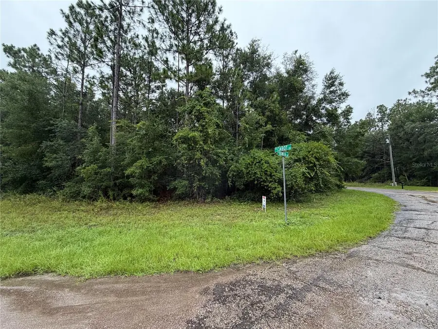482 W Cabot Lane, Citrus Springs, FL 34434 - #3
