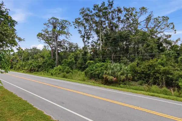 County Road 48, YALAHA, FL 34797