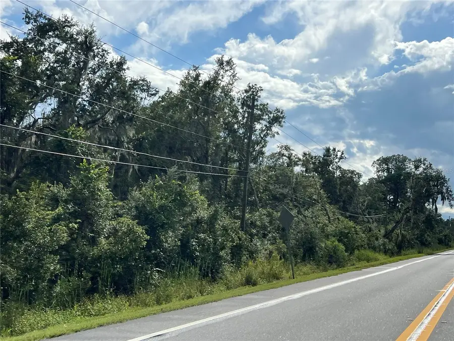 County Road 48, Yalaha, FL 34797 - #3
