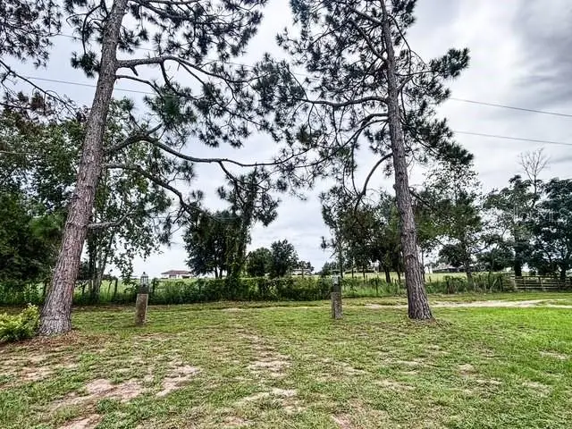 11300 Valley View Drive, Howey In The Hills, FL 34737 - #2