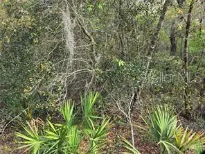 Cr 245d, Oxford, FL 34484 - #1