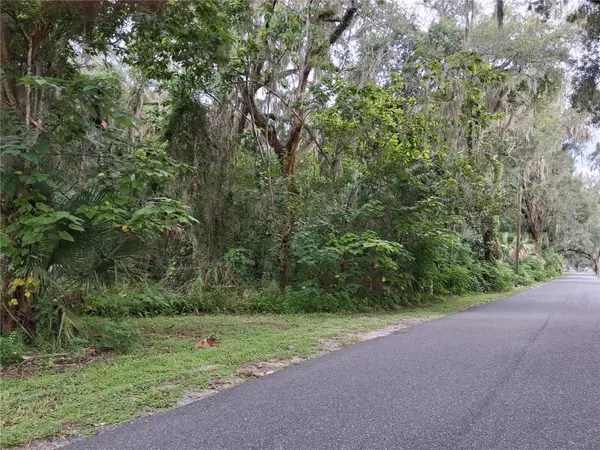 County Rd 730, WEBSTER, FL 33597