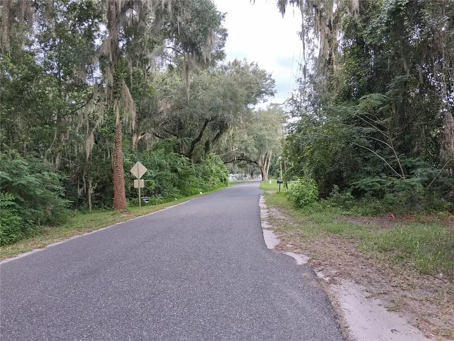 County Rd 730, Webster, FL 33597 - #2