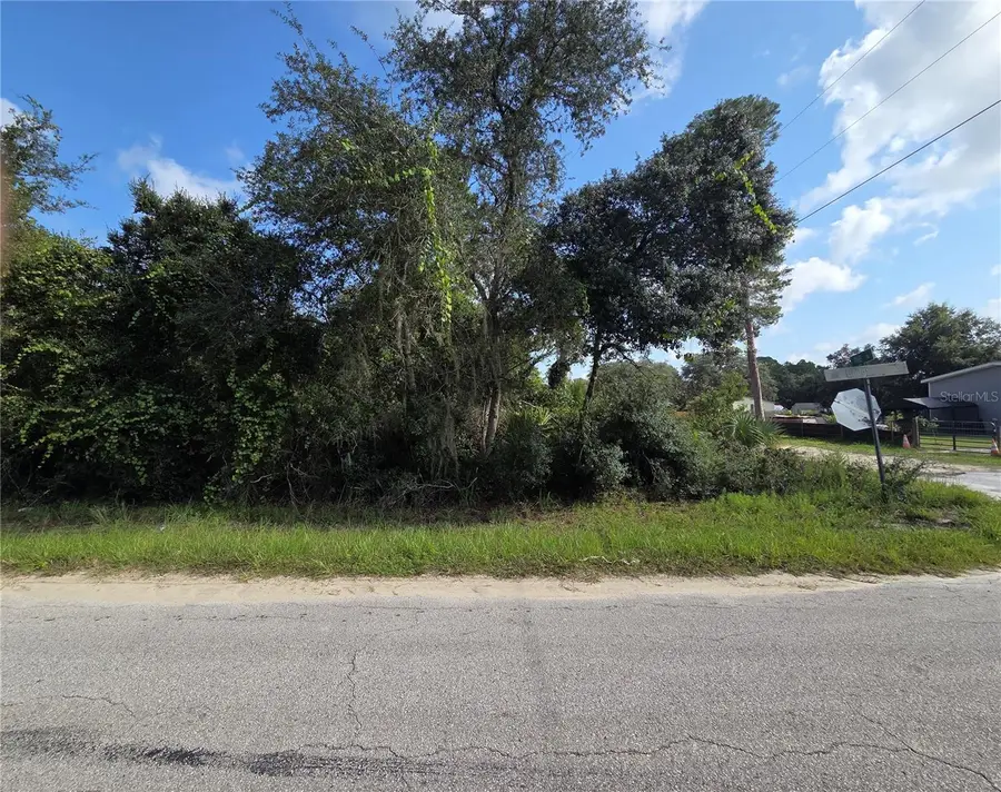 Pine Street, Paisley, FL 32767 - #2