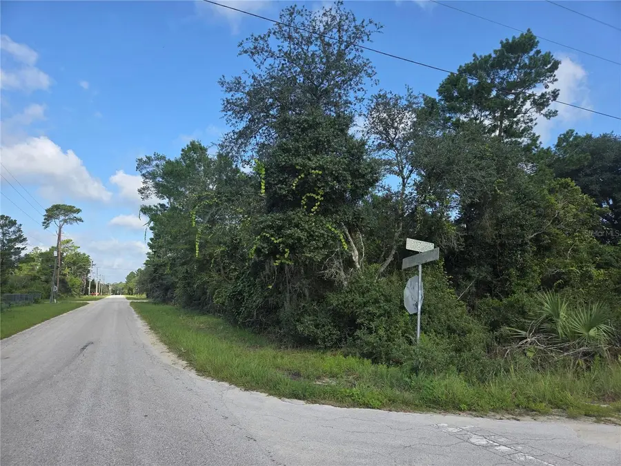Pine Street, Paisley, FL 32767 - #3