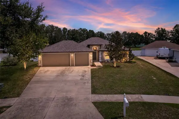 10105 Lenox Street, CLERMONT, FL 34711