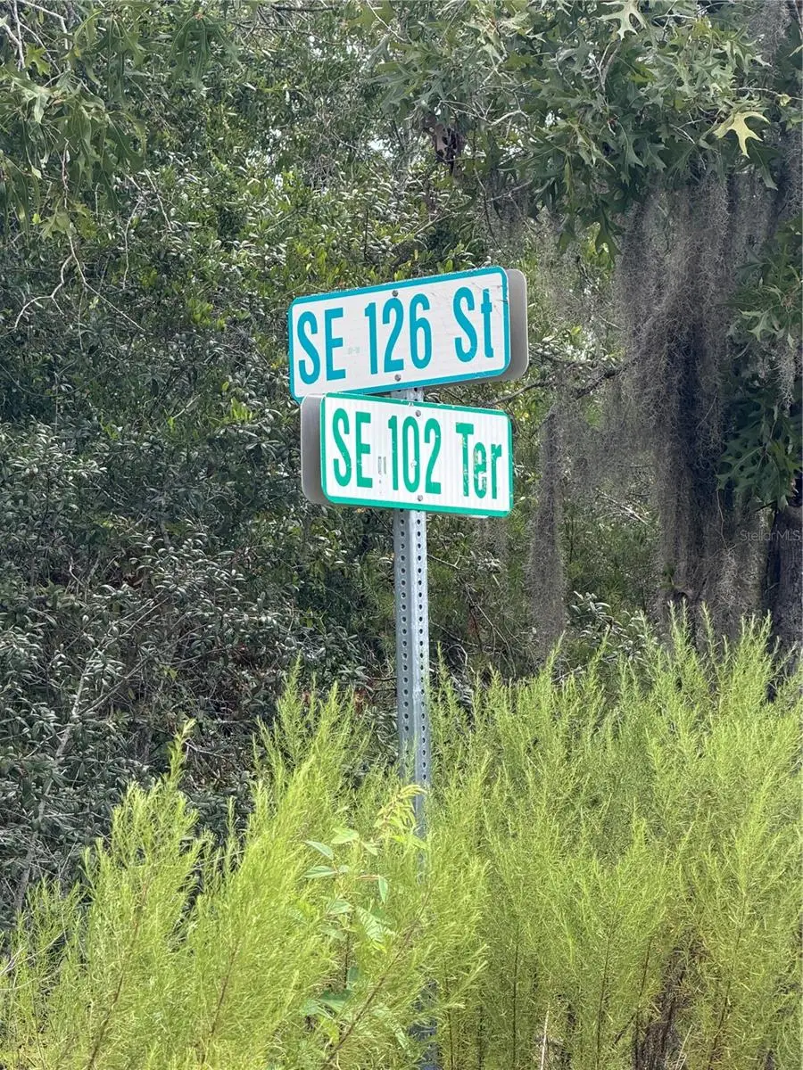 TBD SE 126th Street, Belleview, FL 34420 - #3