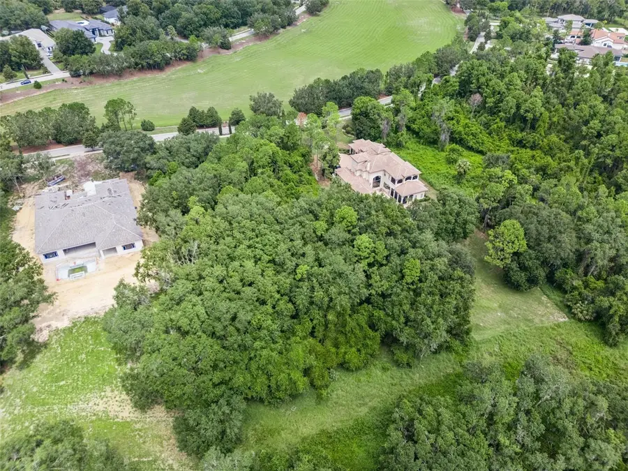 17119 Etruscan Lane, Montverde, FL 34756 - #3