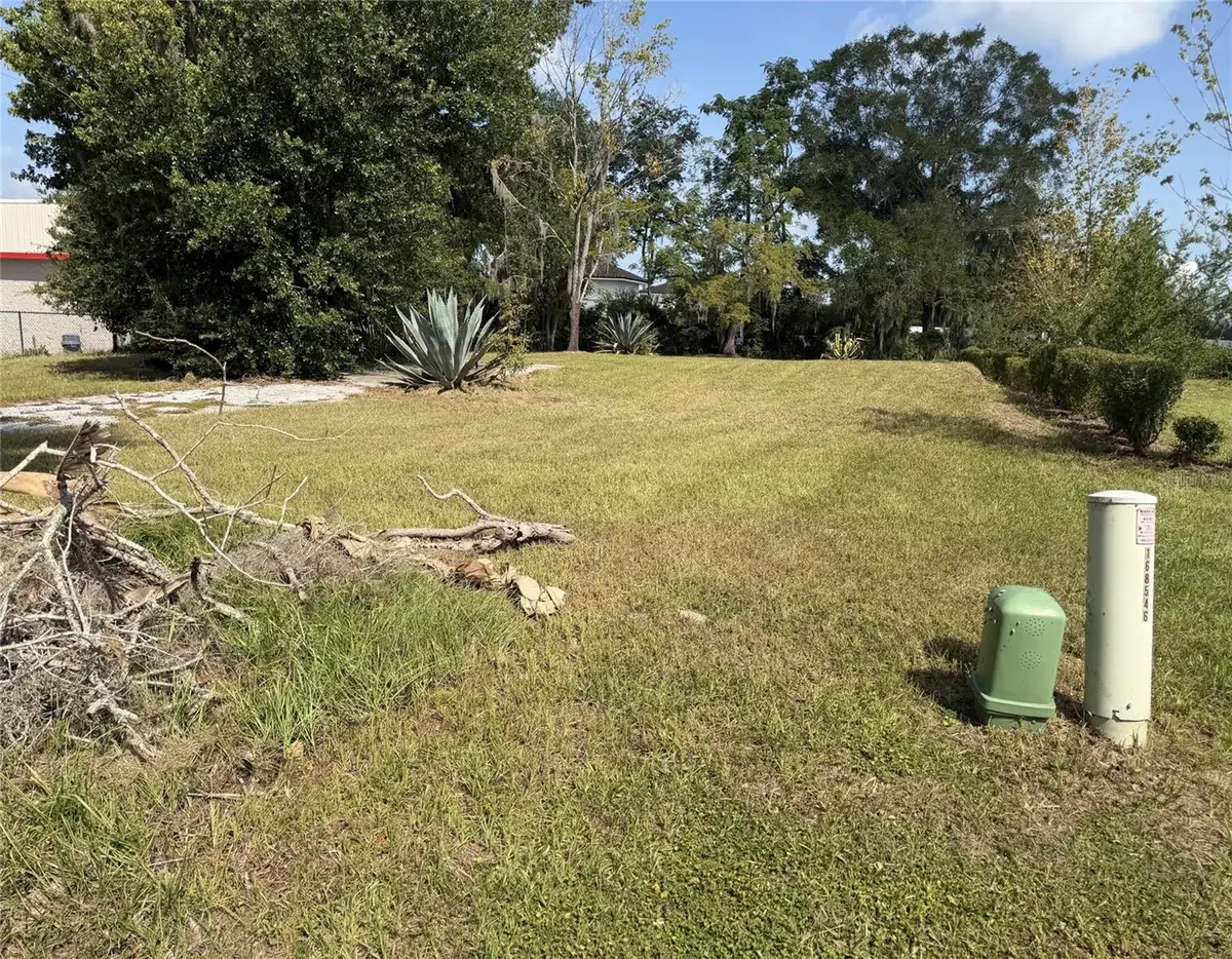 121 W Lemon Street, Lady Lake, FL 32159 - #1
