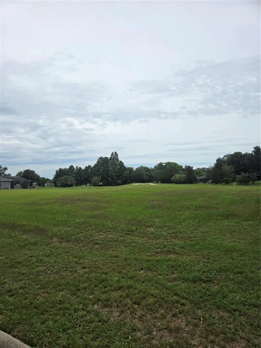 517 Dowling Circle, Lady Lake, FL 32159 - #2