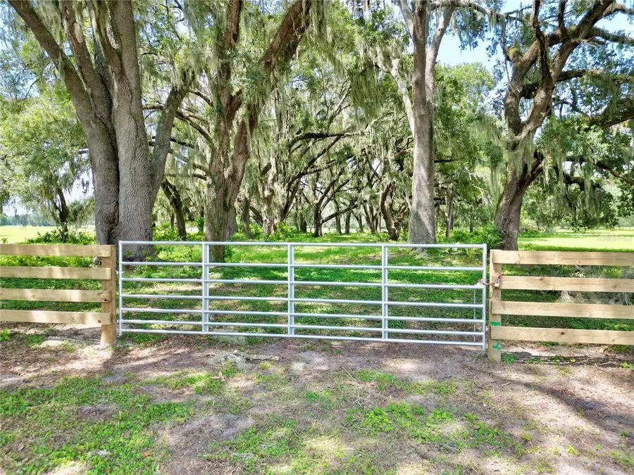 0 C-478 W, Webster, FL 33597 - #3