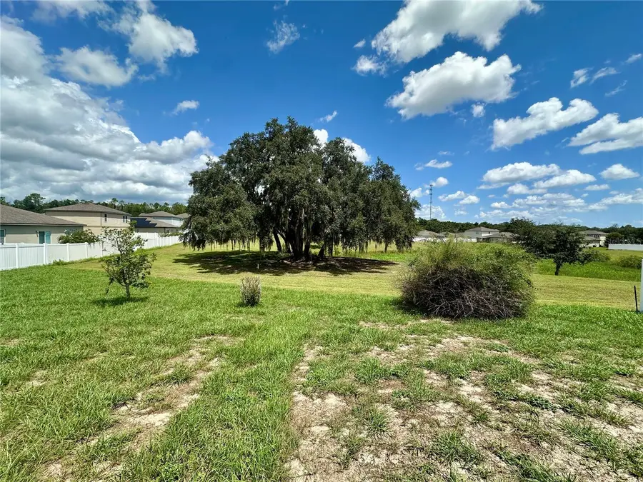 15409 Ivory Gull Lane, Mascotte, FL 34753 - #2