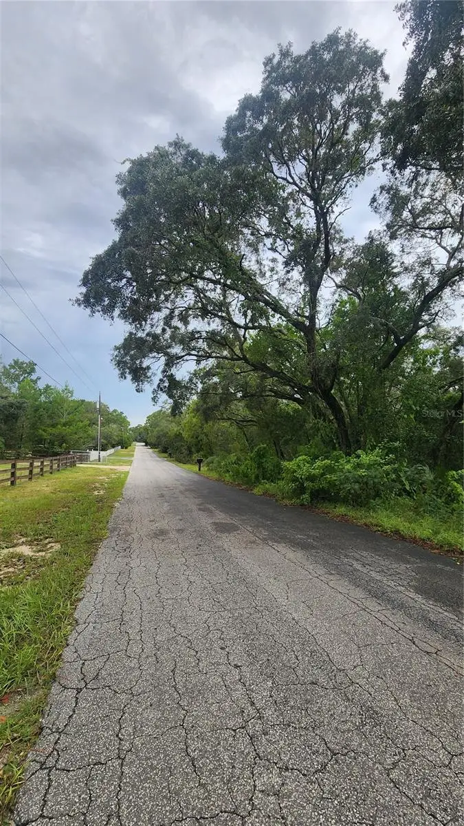 5511 W Rochelle Street, Homosassa, FL 34446 - #2