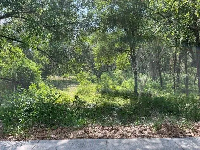 Address Withheld By Seller, Leesburg, FL 34748 - #2