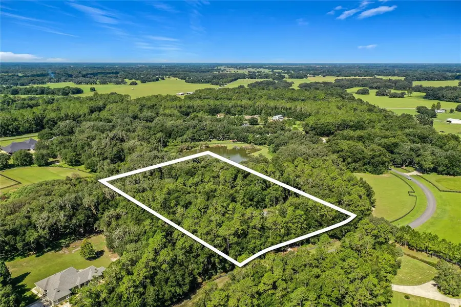 10620 NE 104th Circle, Oxford, FL 34484 - #3