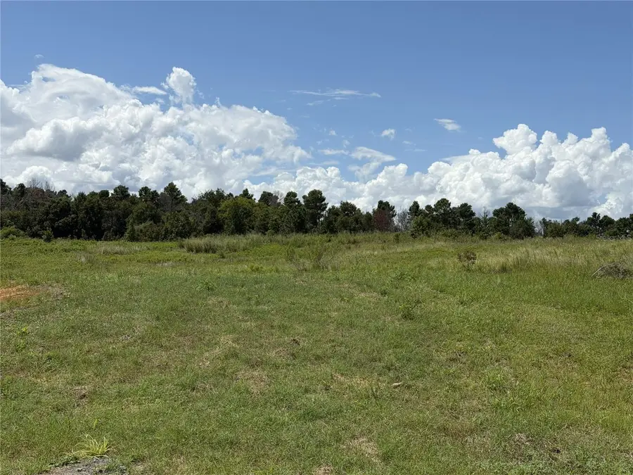 16813 Bolsena Drive, Bella Collina, FL 34756 - #2