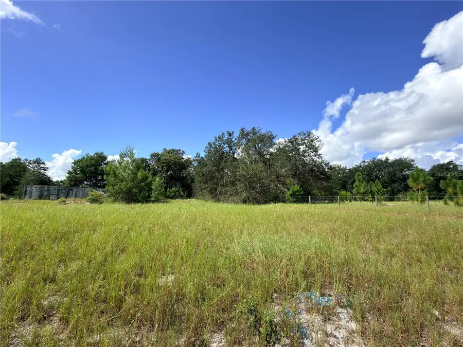 41938 Pine Valley Drive, Paisley, FL 32767 - #2
