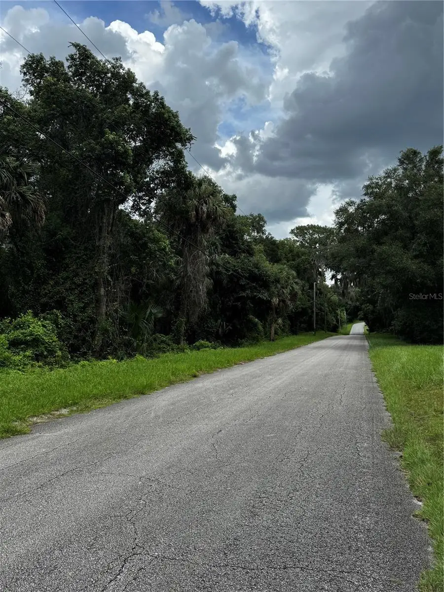 1423 Lemon Street, Deland, FL 32720 - #1