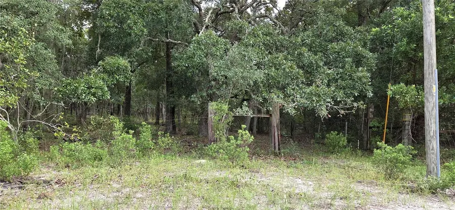 10400 E Moccasin Slough Road, Inverness, FL 34450 - #3