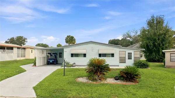 704 Roseapple Avenue, LADY LAKE, FL 32159