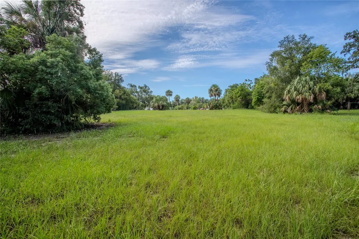 5852 Pine Street, Mount Dora, FL 32757 - #1