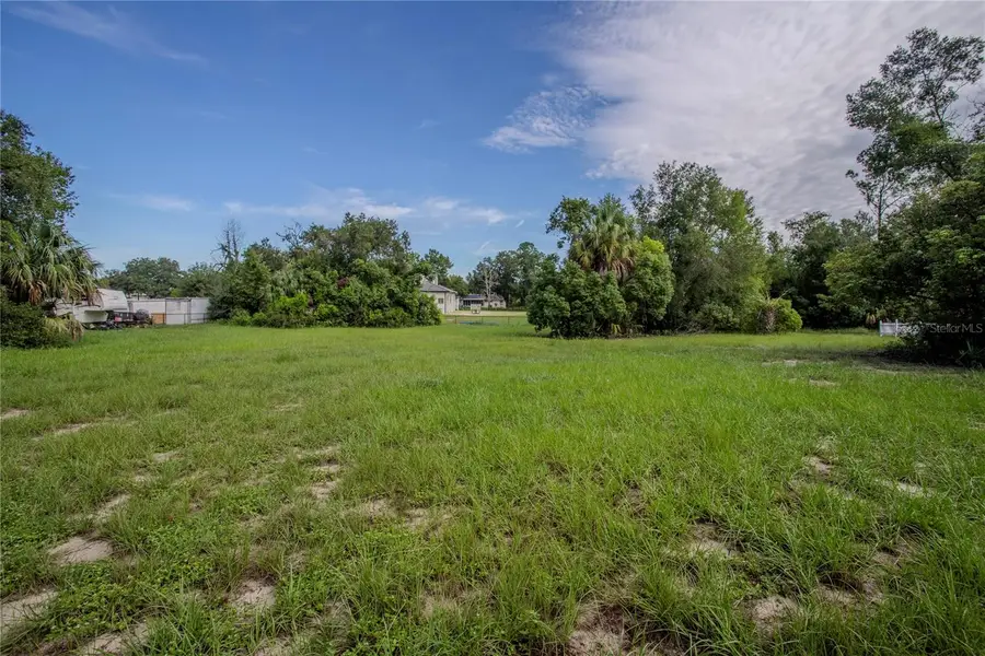 5852 Pine Street, Mount Dora, FL 32757 - #2