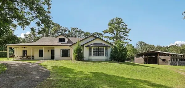 22301 Coronado Somerset Drive, SORRENTO, FL 32776