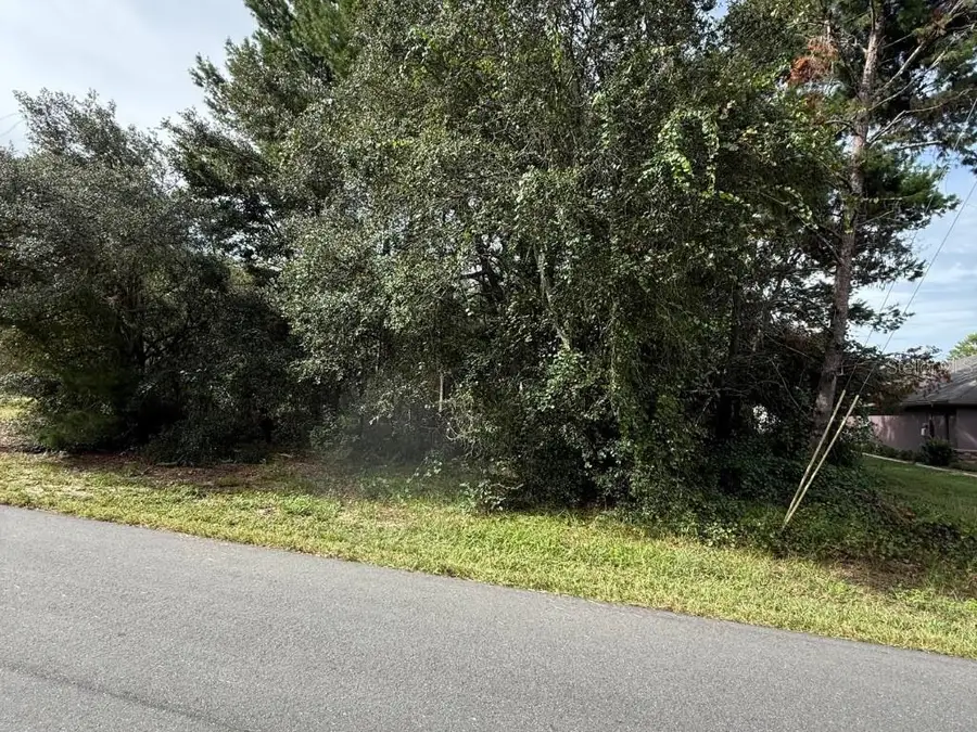 1721 E Colfax Lane, Hernando, FL 34442 - #3