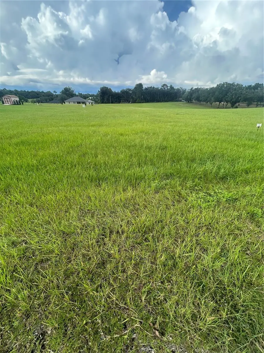 591 E Connecticut Lane, Hernando, FL 34442 - #1