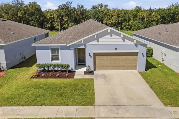 3366 Curlew Avenue, LEESBURG, FL 34748