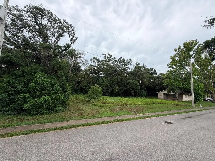 0 N Clayton Street, Mount Dora, FL 32757 - #3