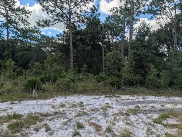 XXX Wedgewood Circle, MOUNT DORA, FL 32757