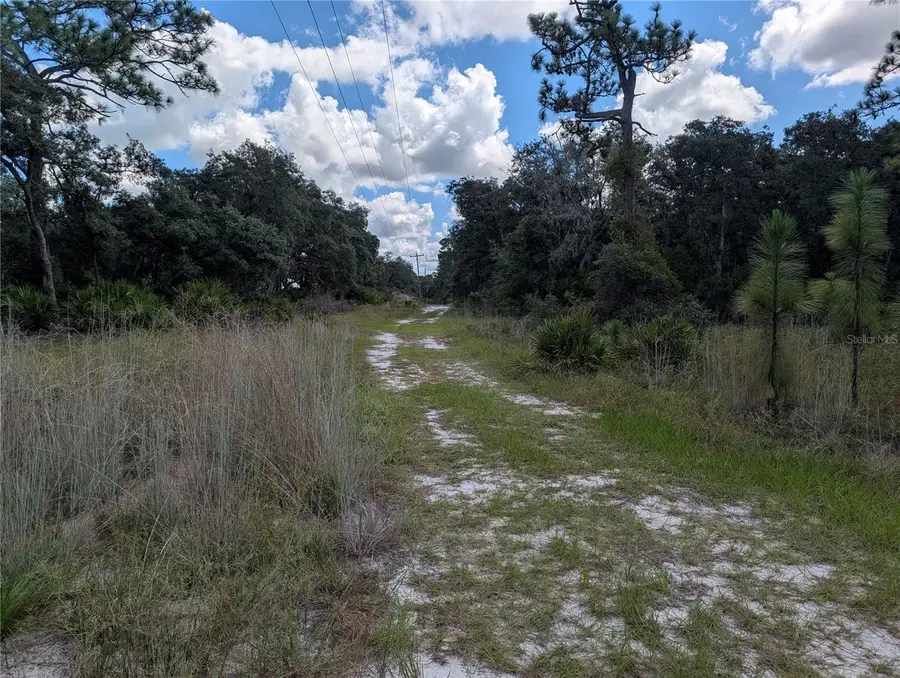 XXX Wedgewood Circle, Mount Dora, FL 32757 - #3