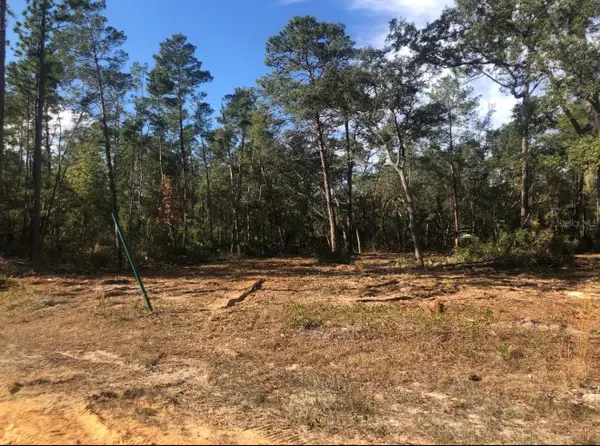 819 Creageer Avenue, INTERLACHEN, FL 32148