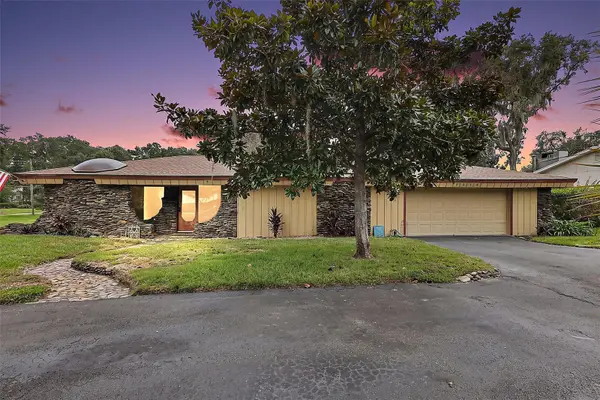 2314 Hillside Drive, MOUNT DORA, FL 32757