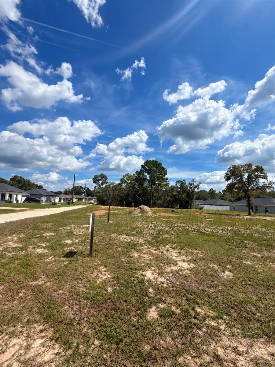 TBD SW 125th Lane, Belleview, FL 34420 - #3