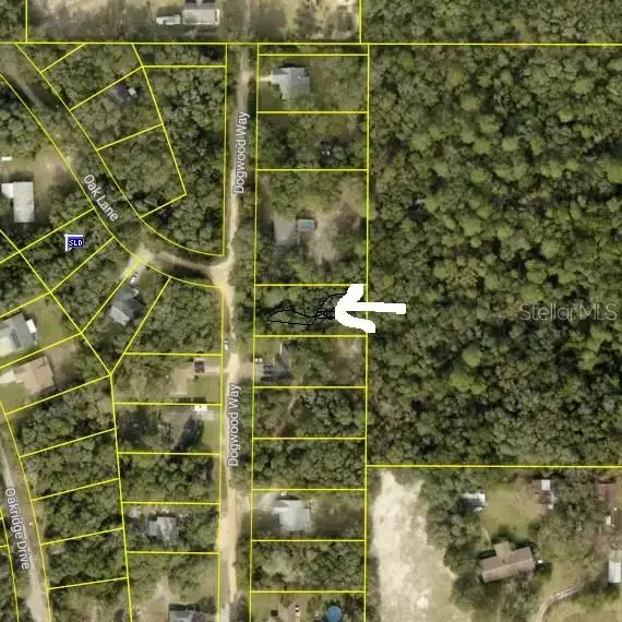 Dogwood Way, Lady Lake, FL 32159 - #1
