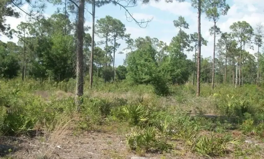 1055 Union Avenue, Clewiston, FL 33440 - #1