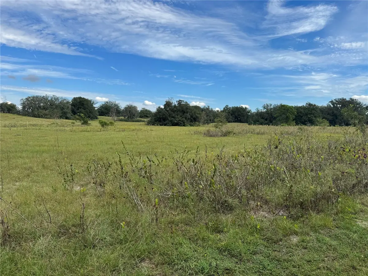 TBD Harrison Street, Astatula, FL 34705 - #1
