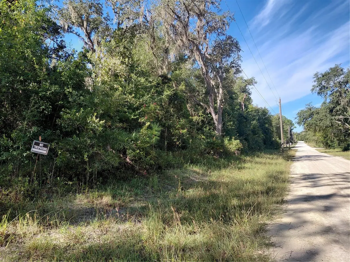 Butternut Drive, Webster, FL 33597 - #1