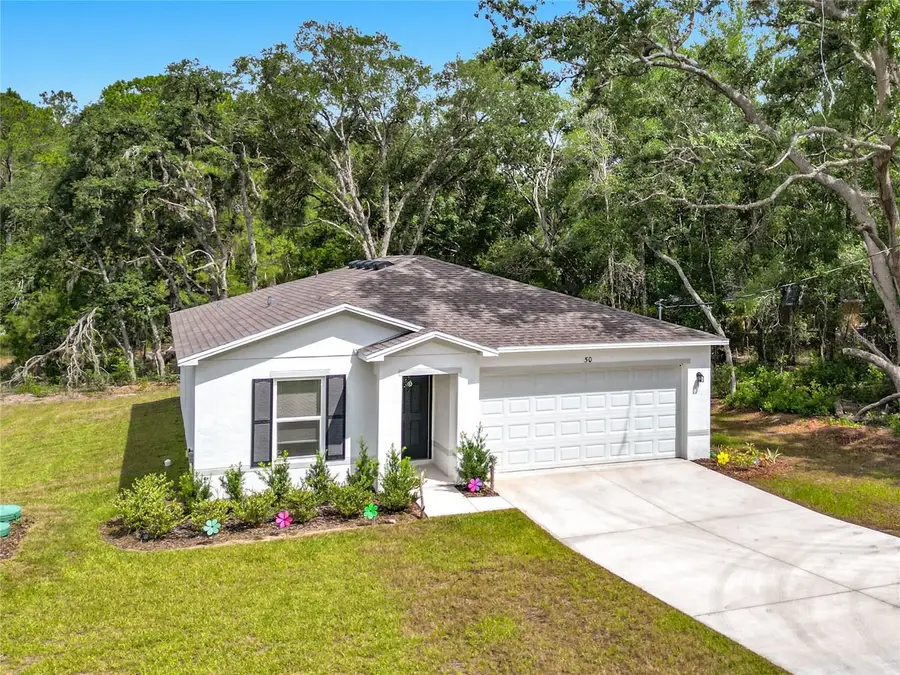 50 Bay Road, Ocklawaha, FL 32179 - #2