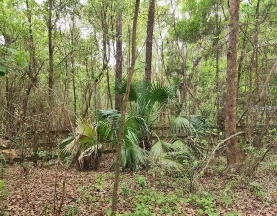 15363 SE 156th Place Road, Weirsdale, FL 32195 - #1