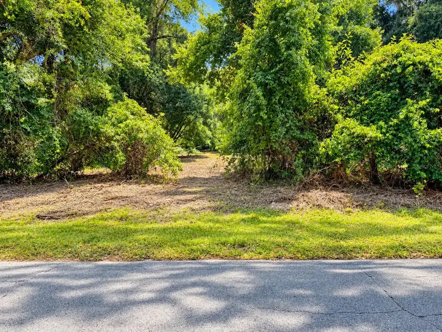 26714 Bloomfield Avenue, Yalaha, FL 34797 - #2