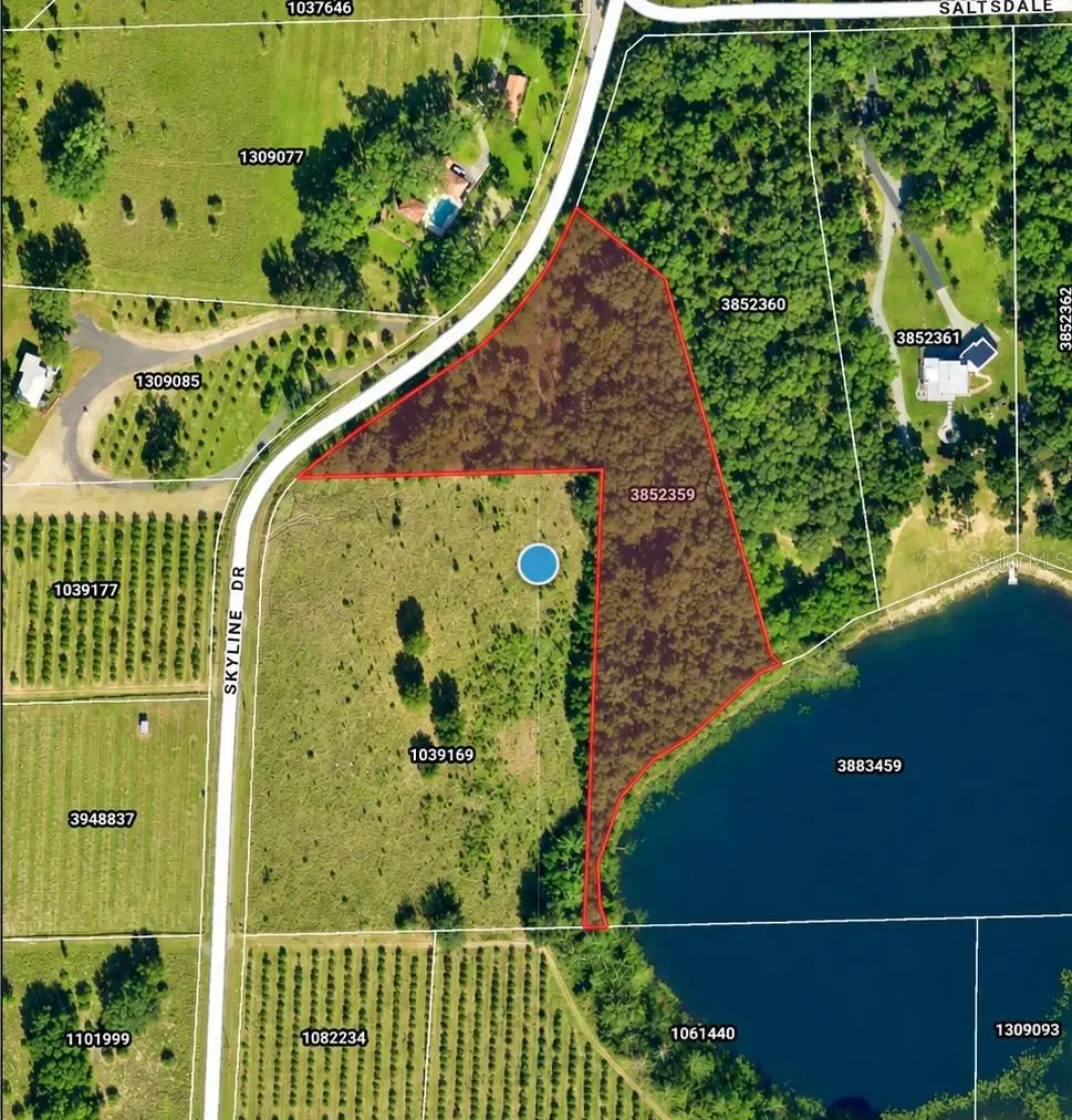 Skyline Drive, Umatilla, FL 32784 - #1