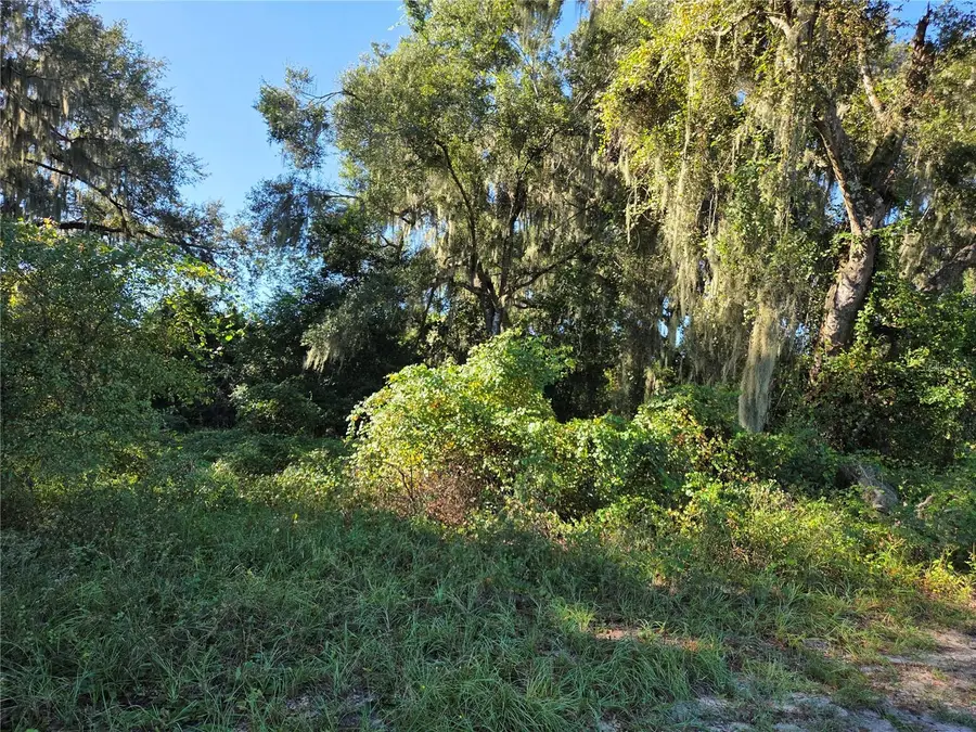 6605 SE 55th Avenue, Center Hill, FL 33514 - #2