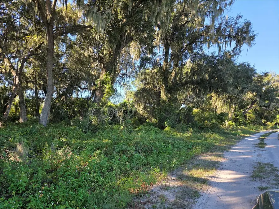 6605 SE 55th Avenue, Center Hill, FL 33514 - #3