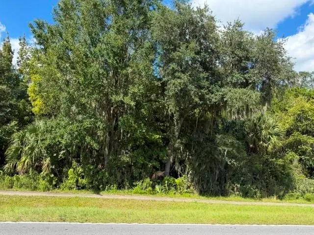 0000 0000 Unassigned, Bushnell, FL 33513 - #2
