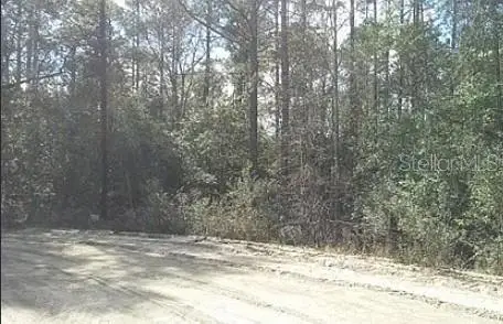 TBD Se 213th Terrace, Umatilla, FL 32784 - #1